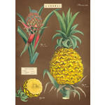 Cavallini Wrap Sheet Pineapple