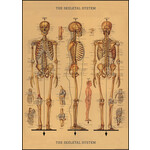 Cavallini Wrap Sheet Skeleton