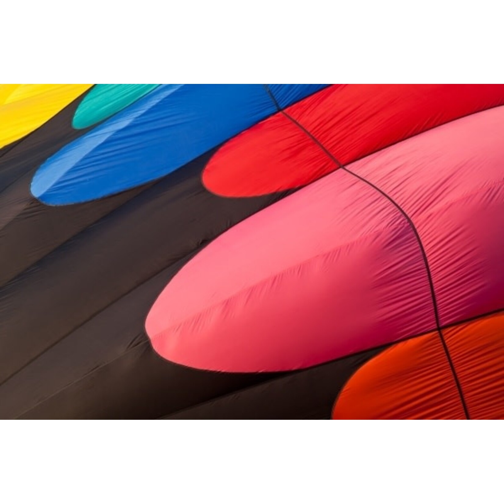 FB 220.01 Soft Sculpture & Inflatables