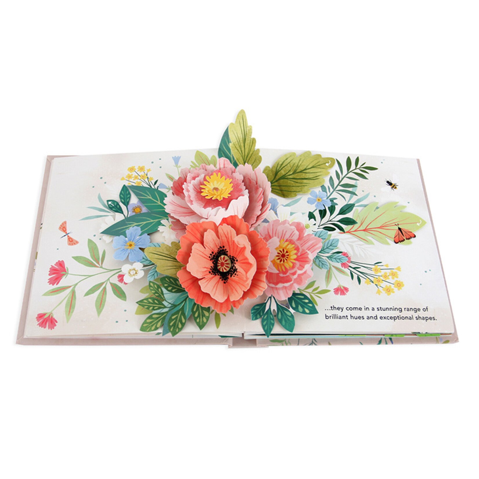 Flora: A Botanical Pop-Up Book