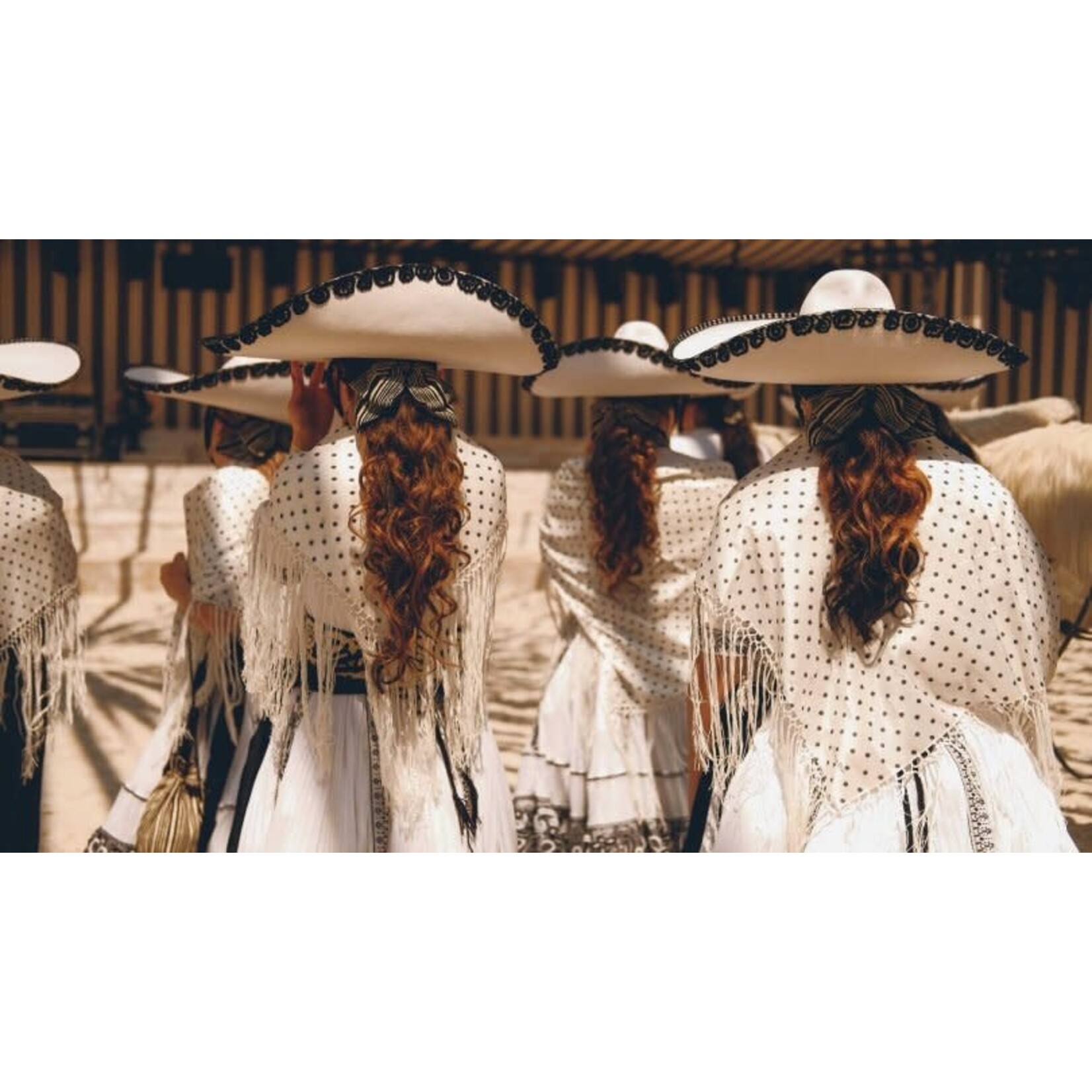 FB 316 .01 Fashioning Culture