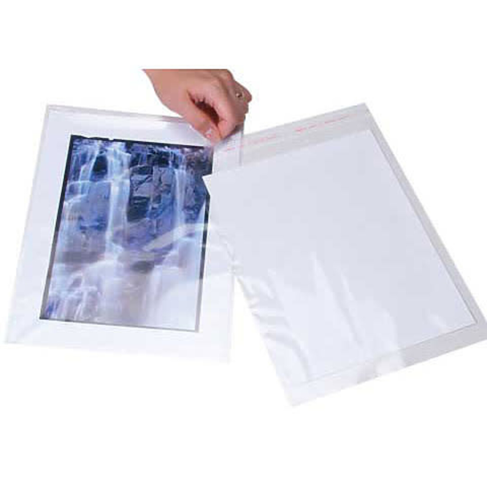 Lineco Photo/Art Bag 8X10 10/Pk