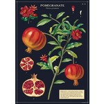 Cavallini Wrap Sheet Pomegranate