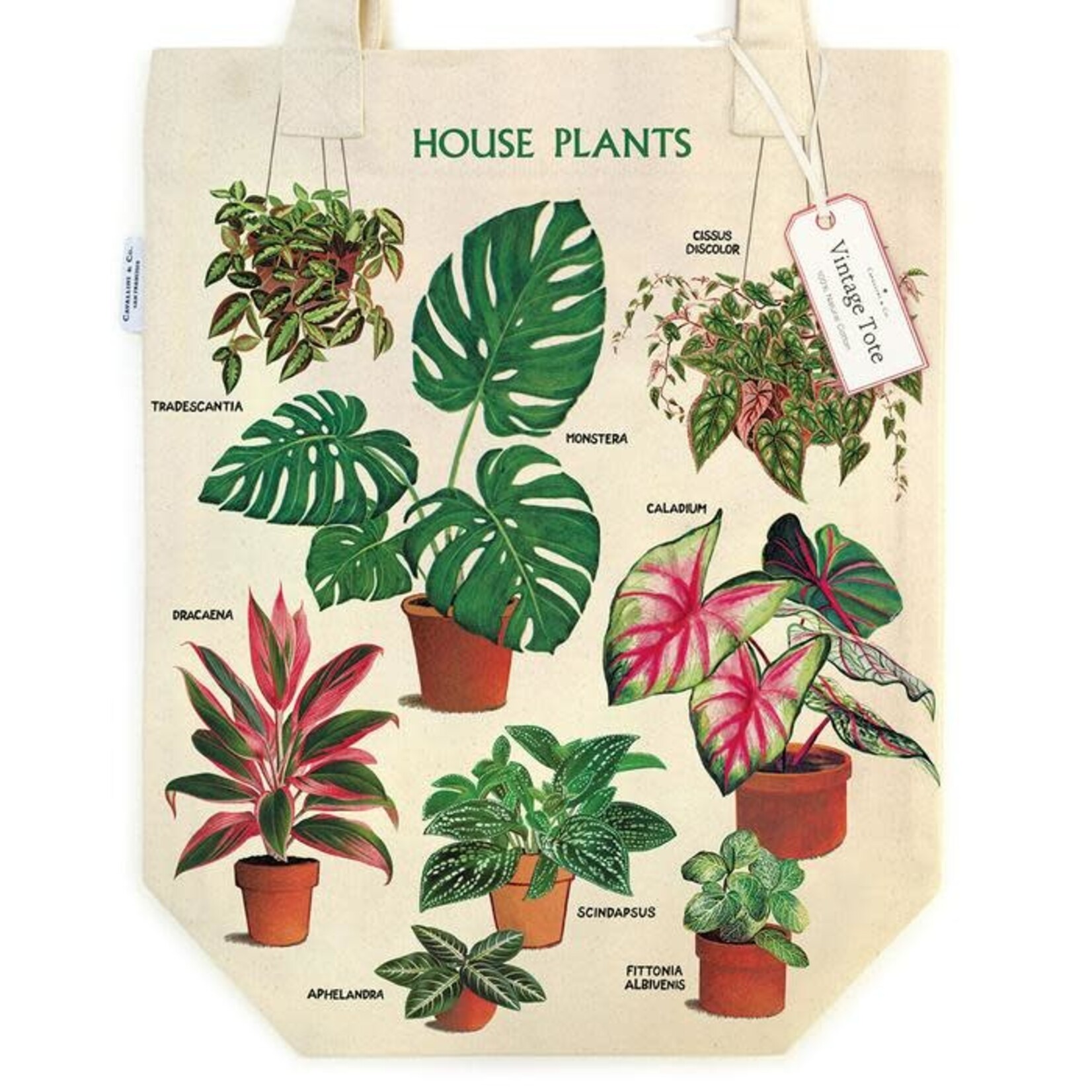 Cavallini Tote Bag House Plants