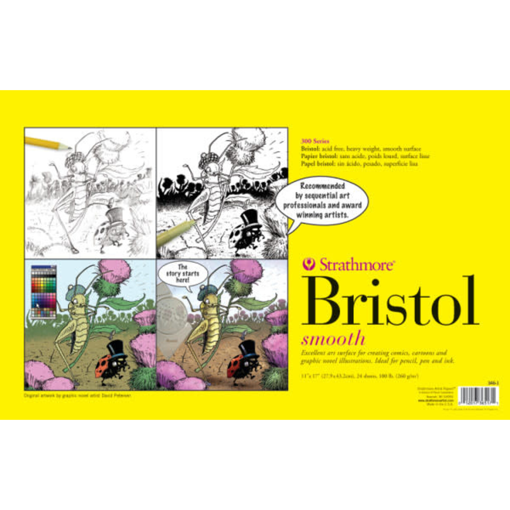 Strathmore Strathmore Sequential Art Bristol Sheets, 300 Series, 11 x 17, Smooth
