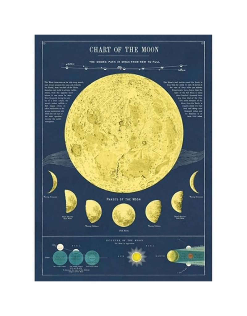 Cavallini Wrap Sheet Moon Chart