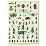 Cavallini Wrap Sheet Bugs & Insects