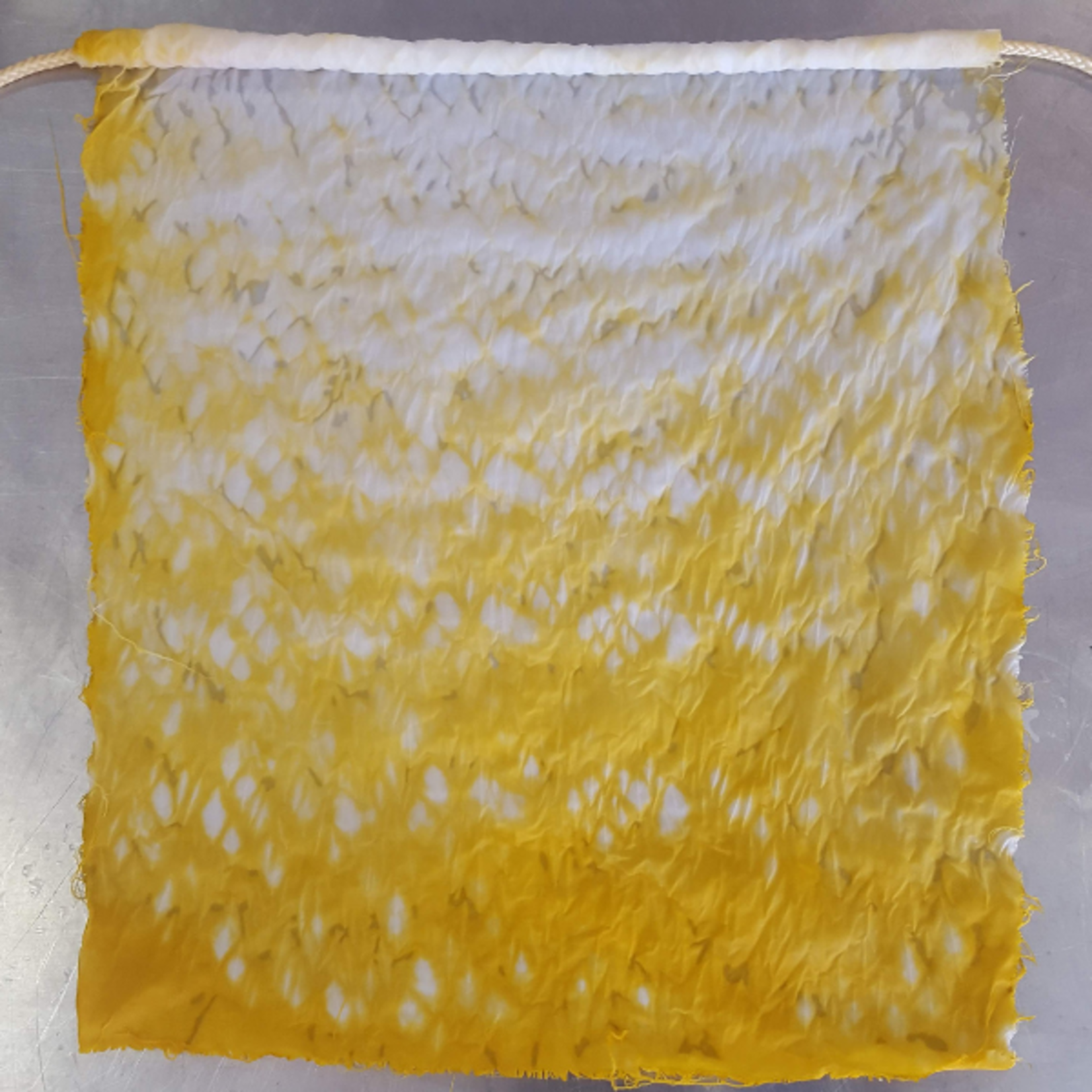 Botanical Colors Marigold Mix 100 gm