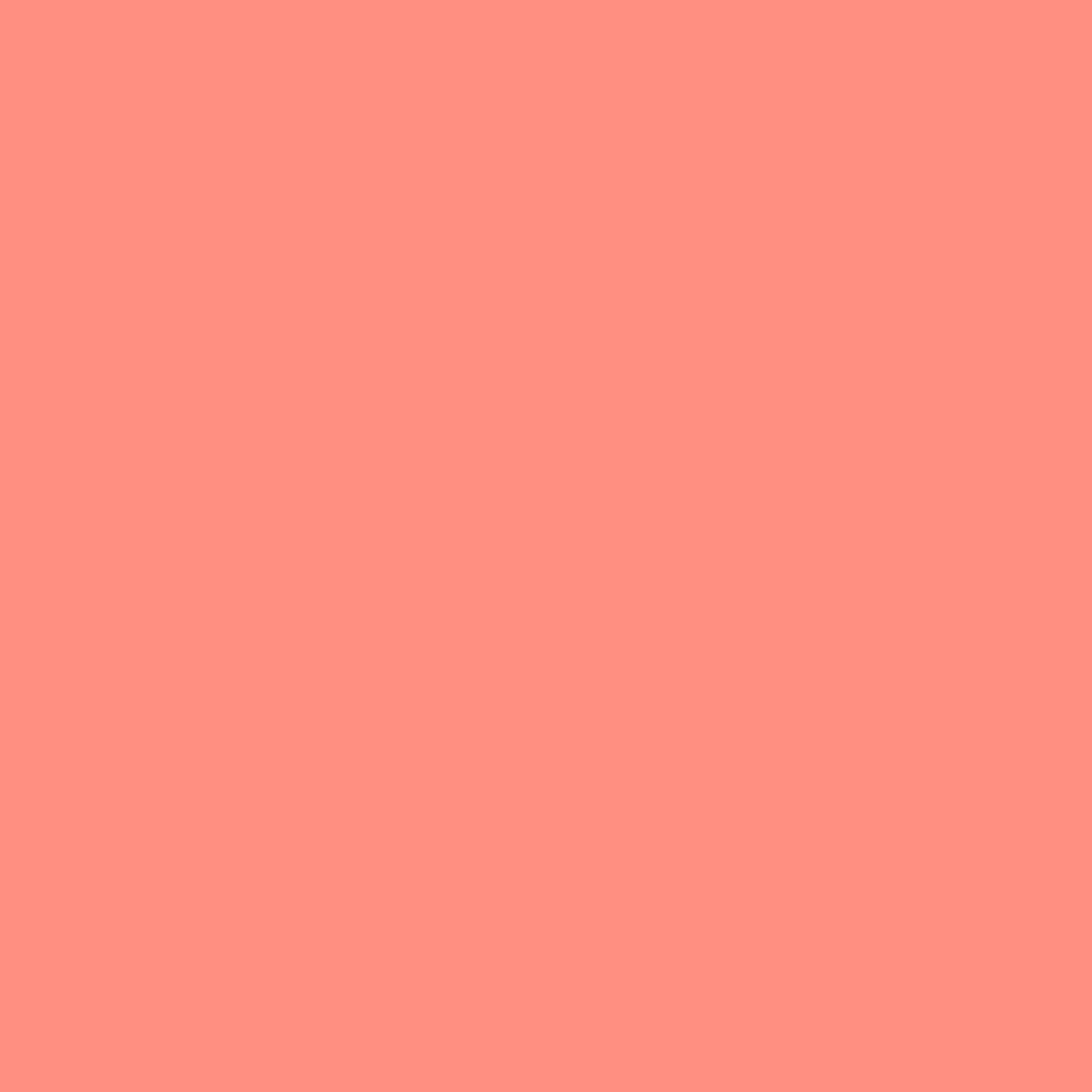 Canson Discontinued - Mi-Teintes Paper Sheets, 8-1/2'' x 11'', Venitian Pink