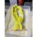 IS Shell Mold Kit (silica+slurry)