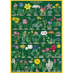 Cavallini Wrap Sheet Wildflowers 2