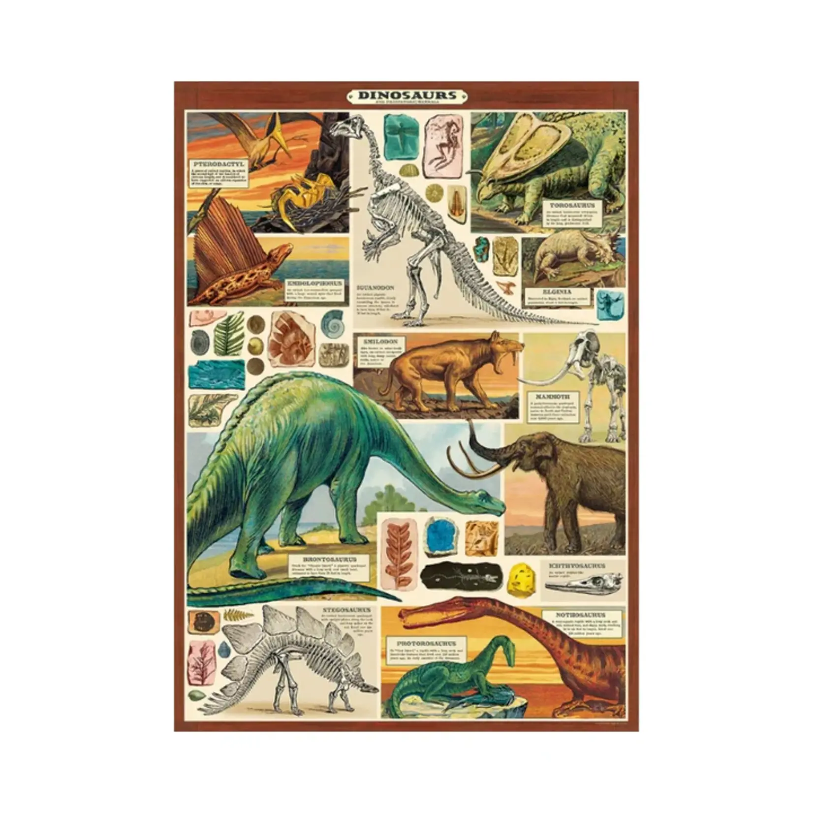 Cavallini Wrap Sheet Dinosaurs 2