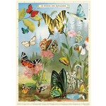 Cavallini Wrap Sheet Butterflies 4