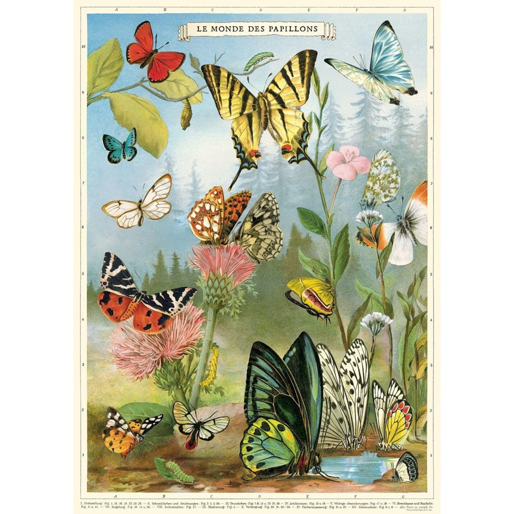 Cavallini Wrap Sheet Butterflies 4