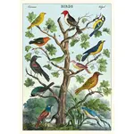 Cavallini Wrap Sheet Birds in a Tree