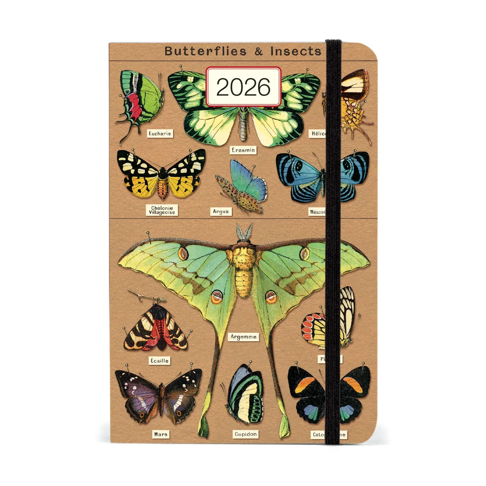 Cavallini 2026 Planner Entomology