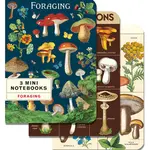 Cavallini Foraging 3 Mini Notebooks