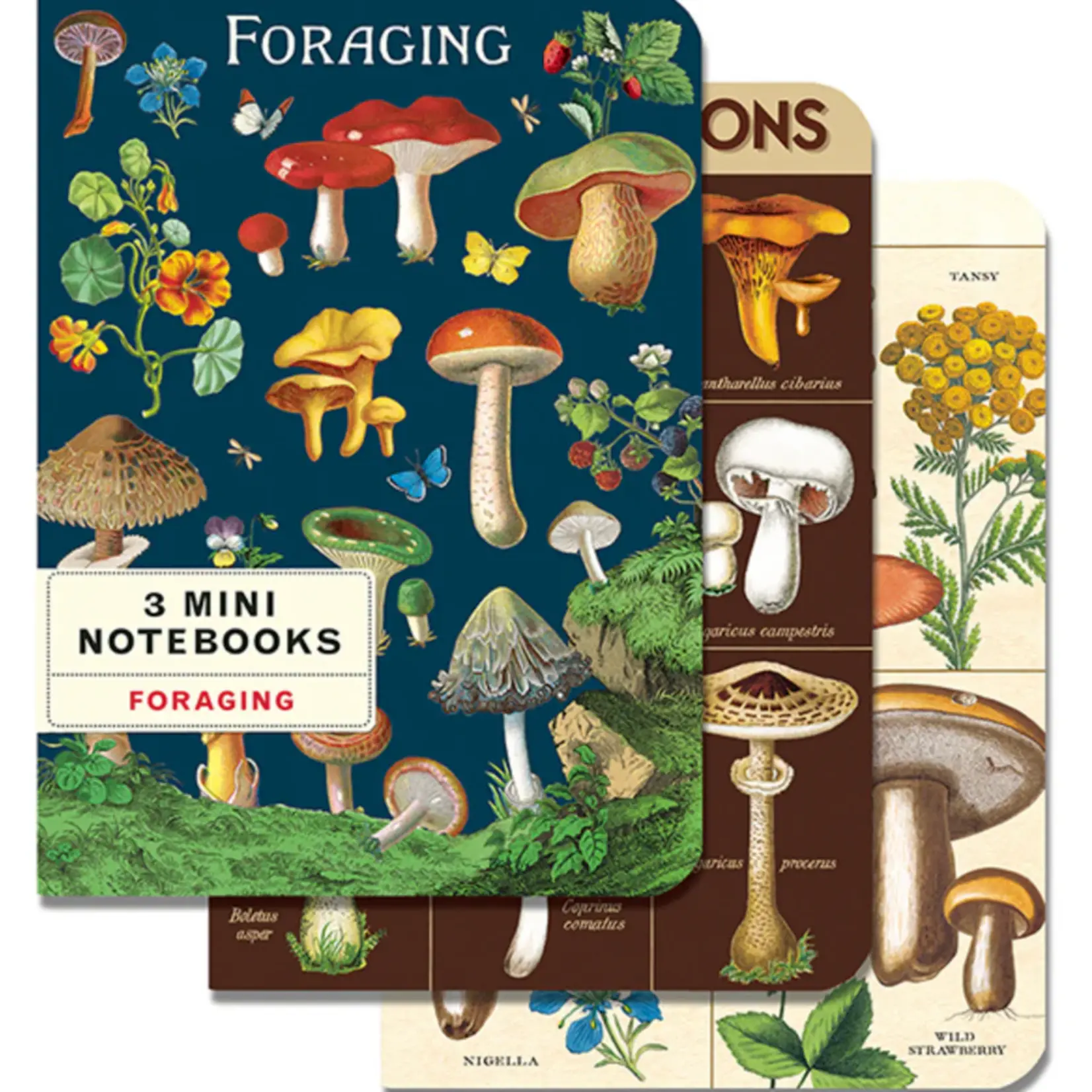 Cavallini Foraging 3 Mini Notebooks