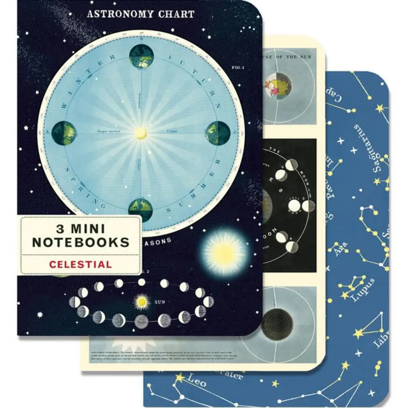 Cavallini Celestial 3 Mini Notebooks