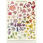 Cavallini Wrap Sheet Flora Specimen