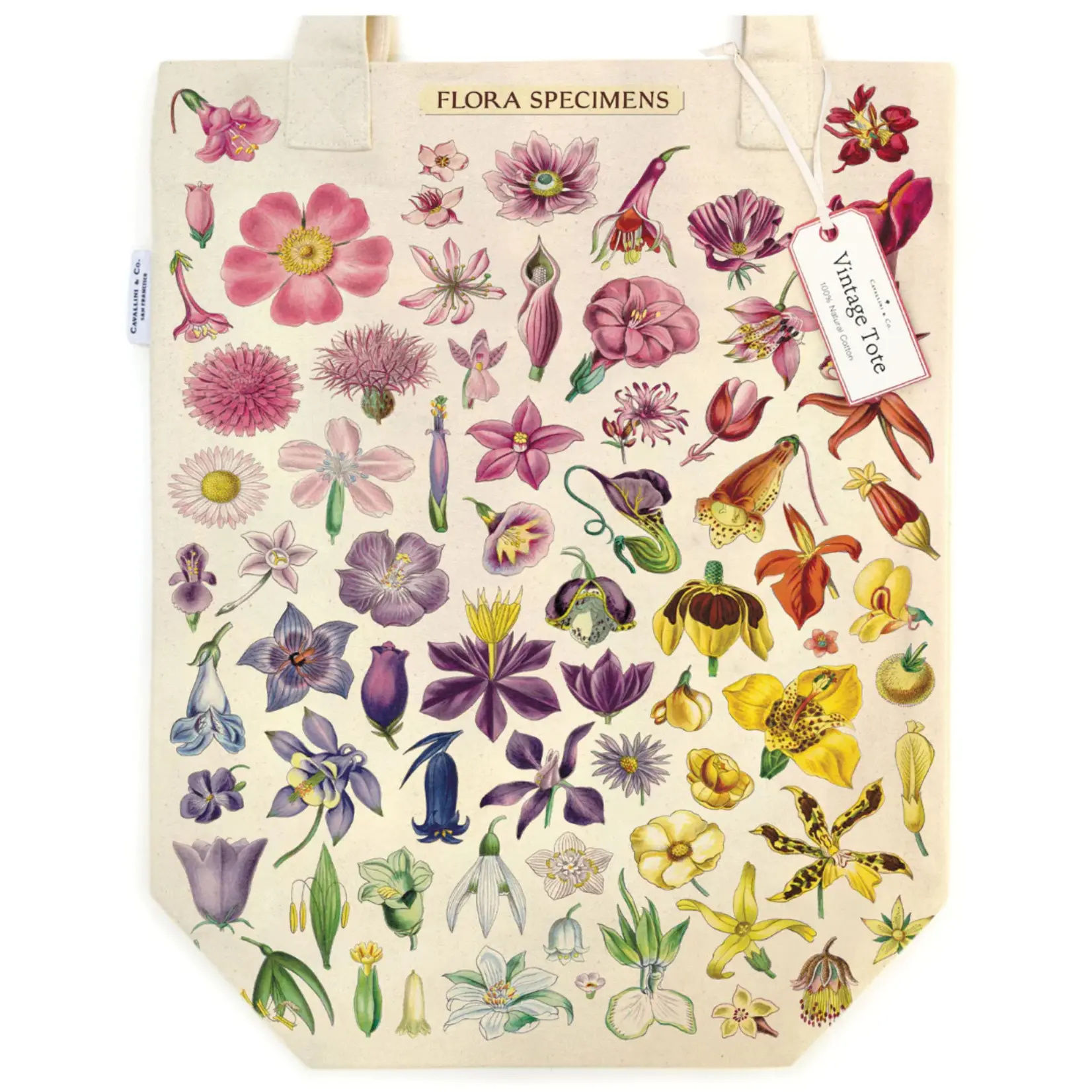 Cavallini Tote Bag Flora Specimens