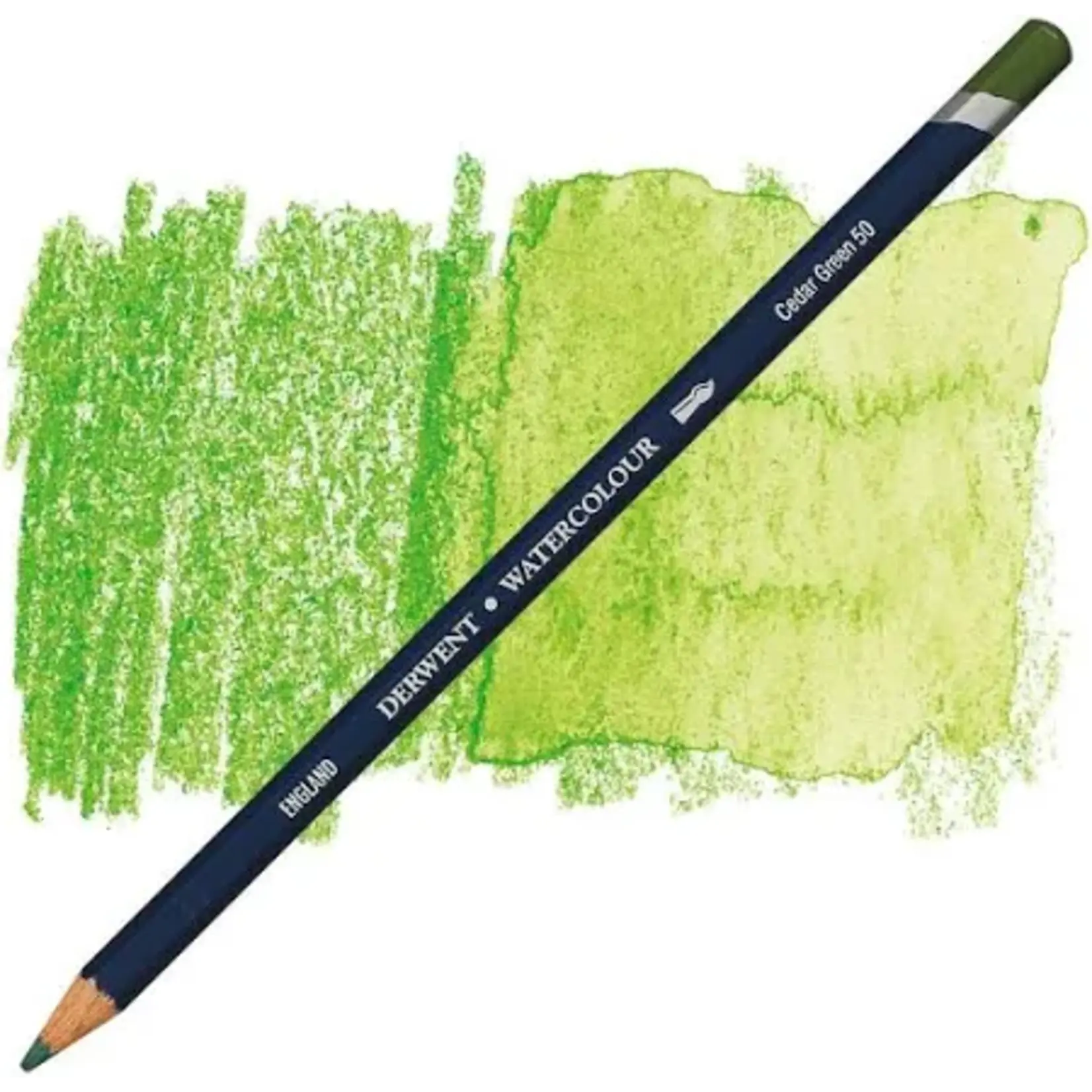 Derwent Watercolor Pencil Cedar Green