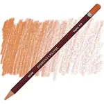 Derwent Pastel Pencil Tangerine