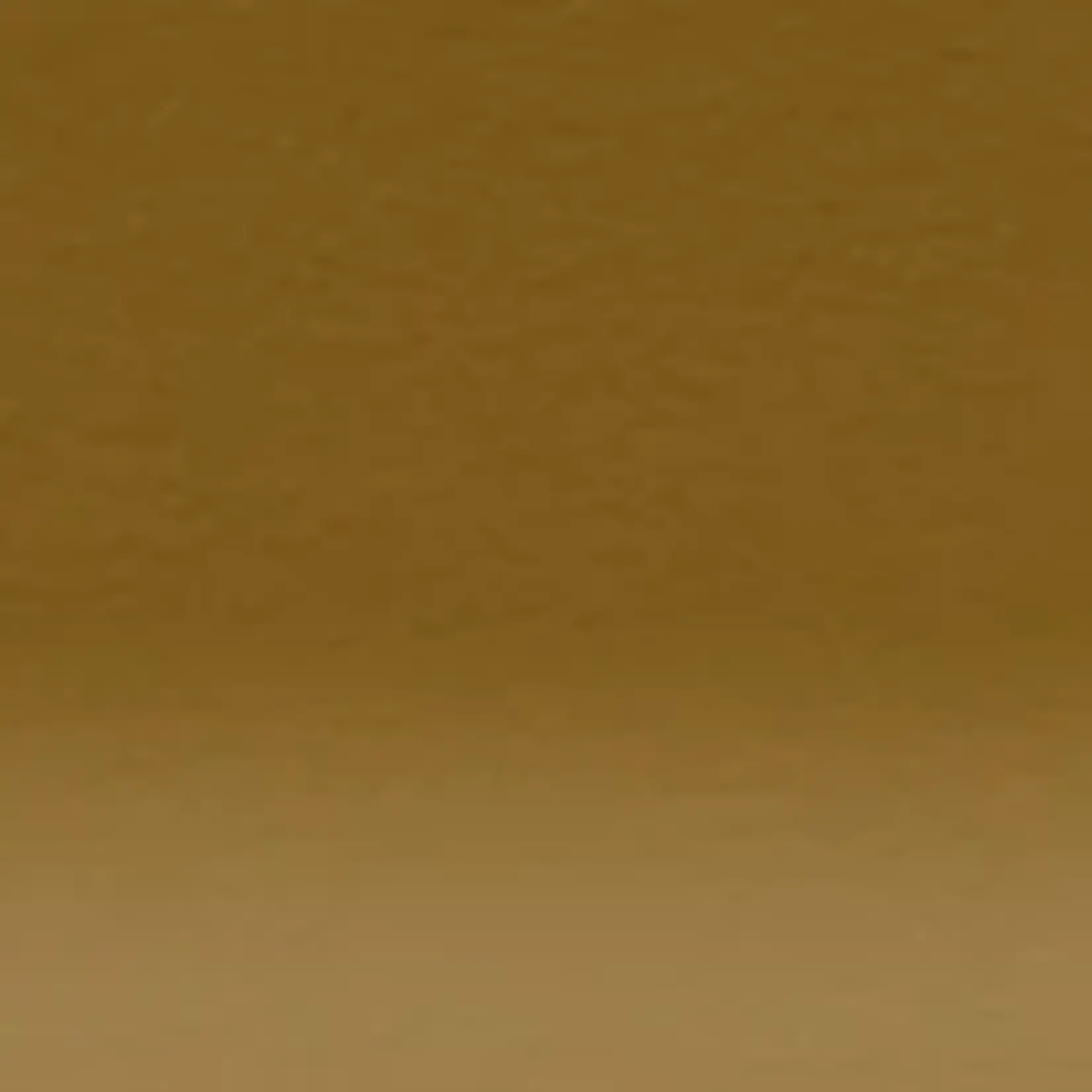Derwent Inktense Pencil Tan