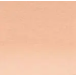 Derwent Dwnt Artist Pcl Light Rust(12)