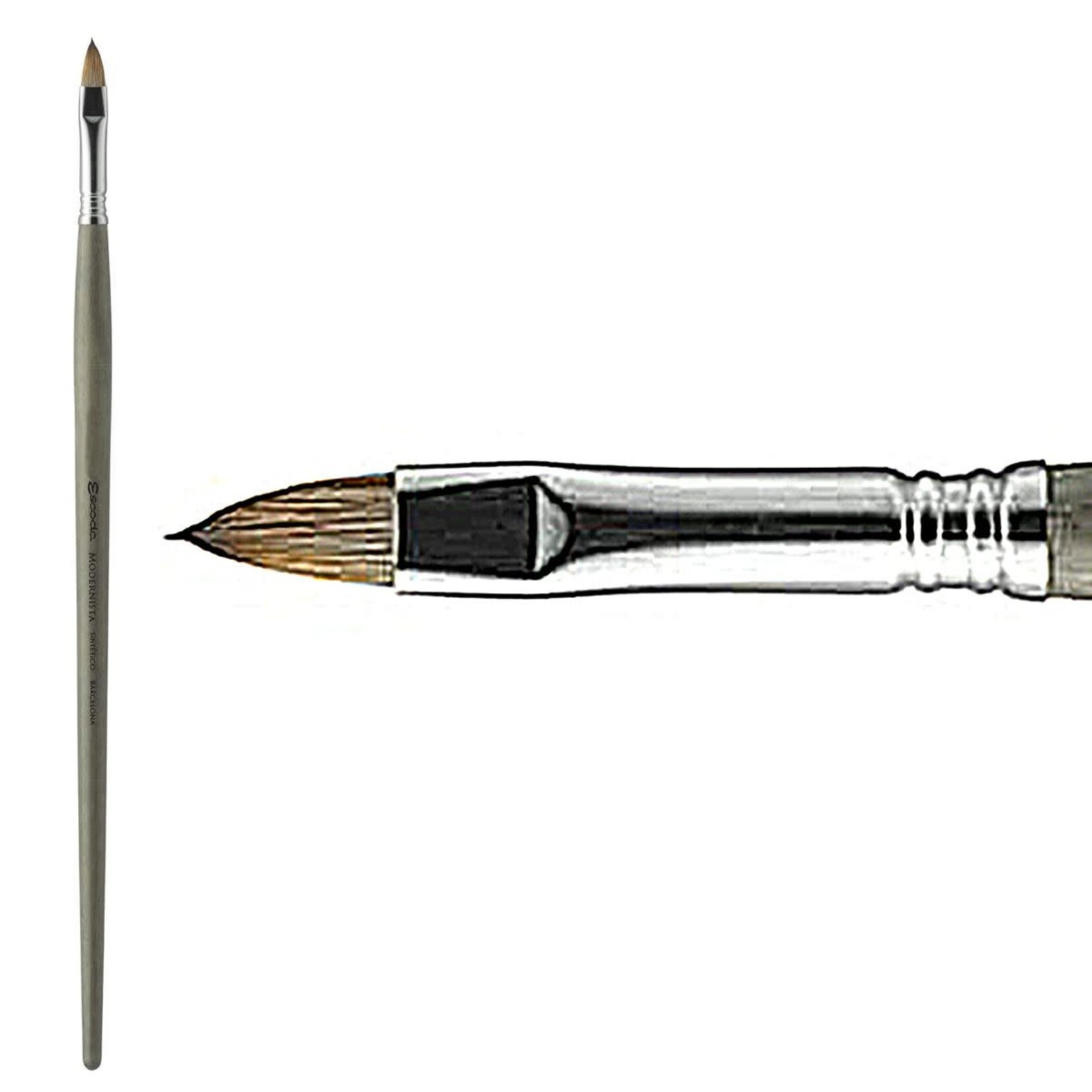 Global Modernista Filbert # 14