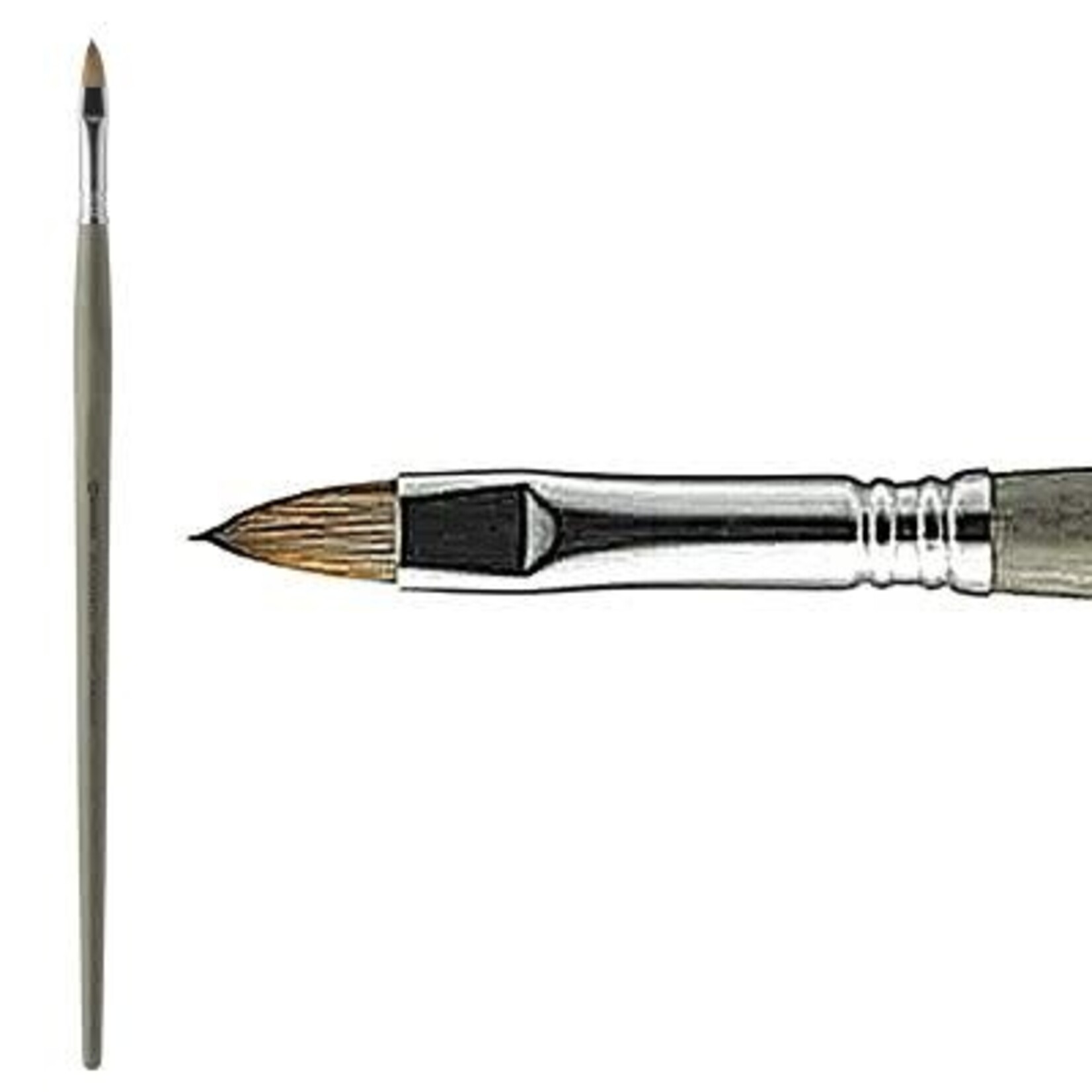 Modernista Filbert # 12, Long Handle