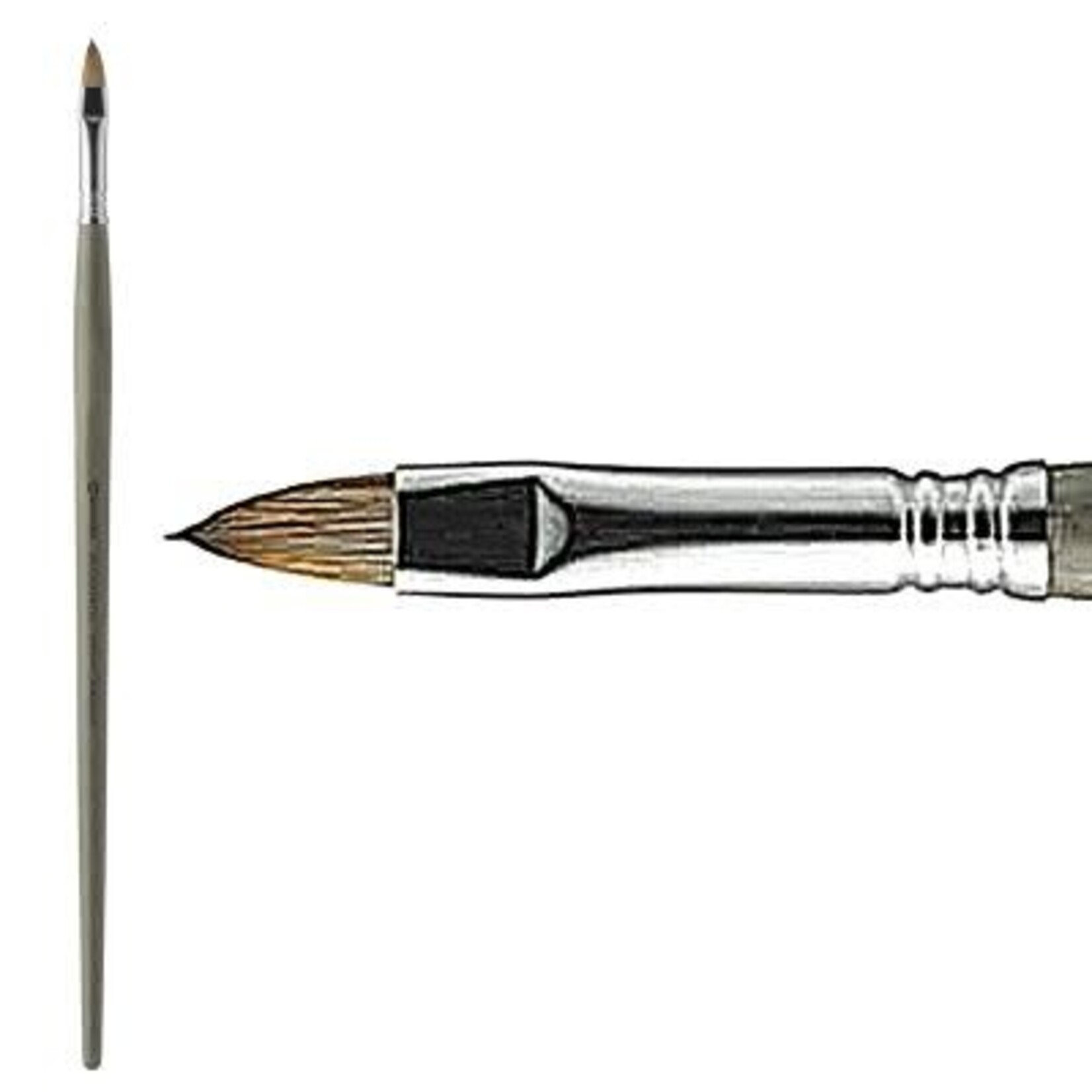 Modernista Filbert # 14, Long Handle