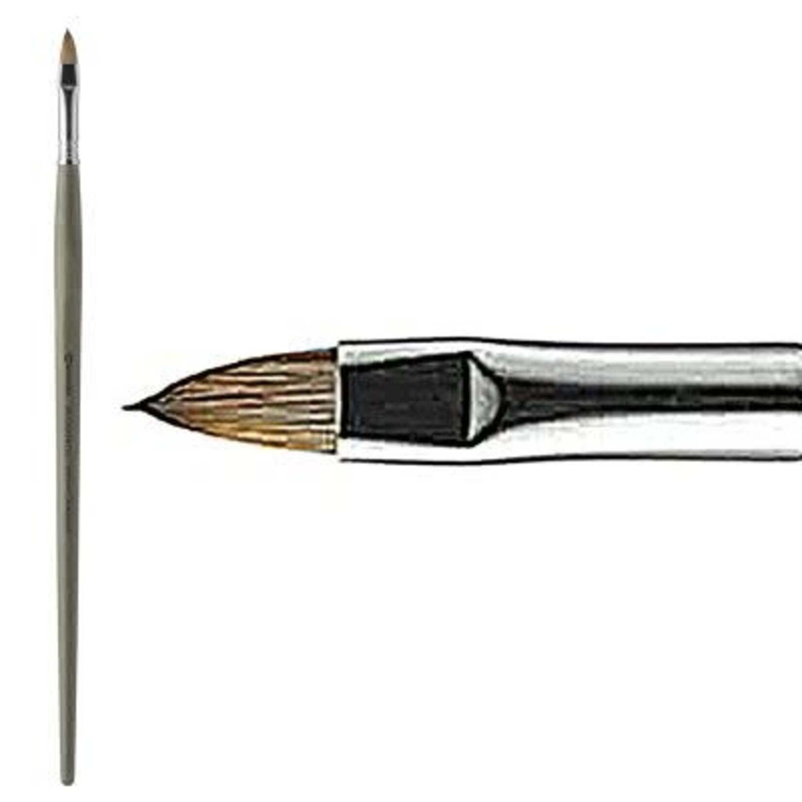 Modernista Filbert # 20, Long Handle