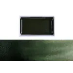 Kuretake Gansai Tambi single color pan 504 - GREEN GRAY