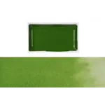 Kuretake Gansai Tambi single color pan 053 - SAP GREEN