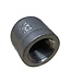 Titan 1/2" SS F-Cap