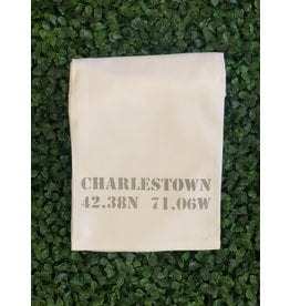 Marshes Fields and Hills Charlestown Longitude & Latitude Tea Towel in Dorian Grey