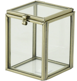 Champagne Cork Safe