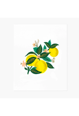 Rifle Paper Co. Lemon Blossom Art Print 8x10