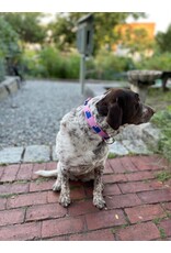 Preston Bunker Hill Flag Dog Collar in Blue