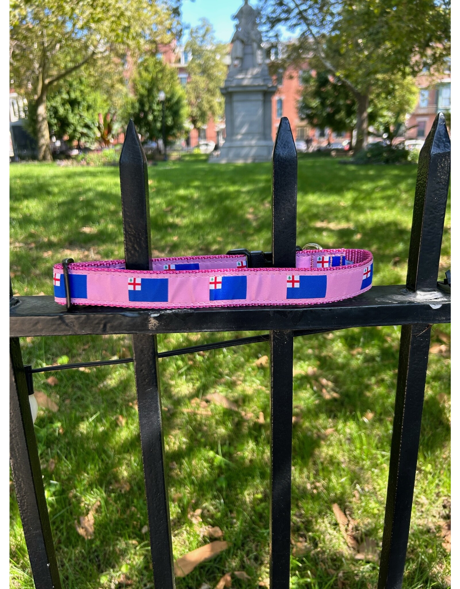 Preston Bunker Hill Flag Dog Collar in Pink
