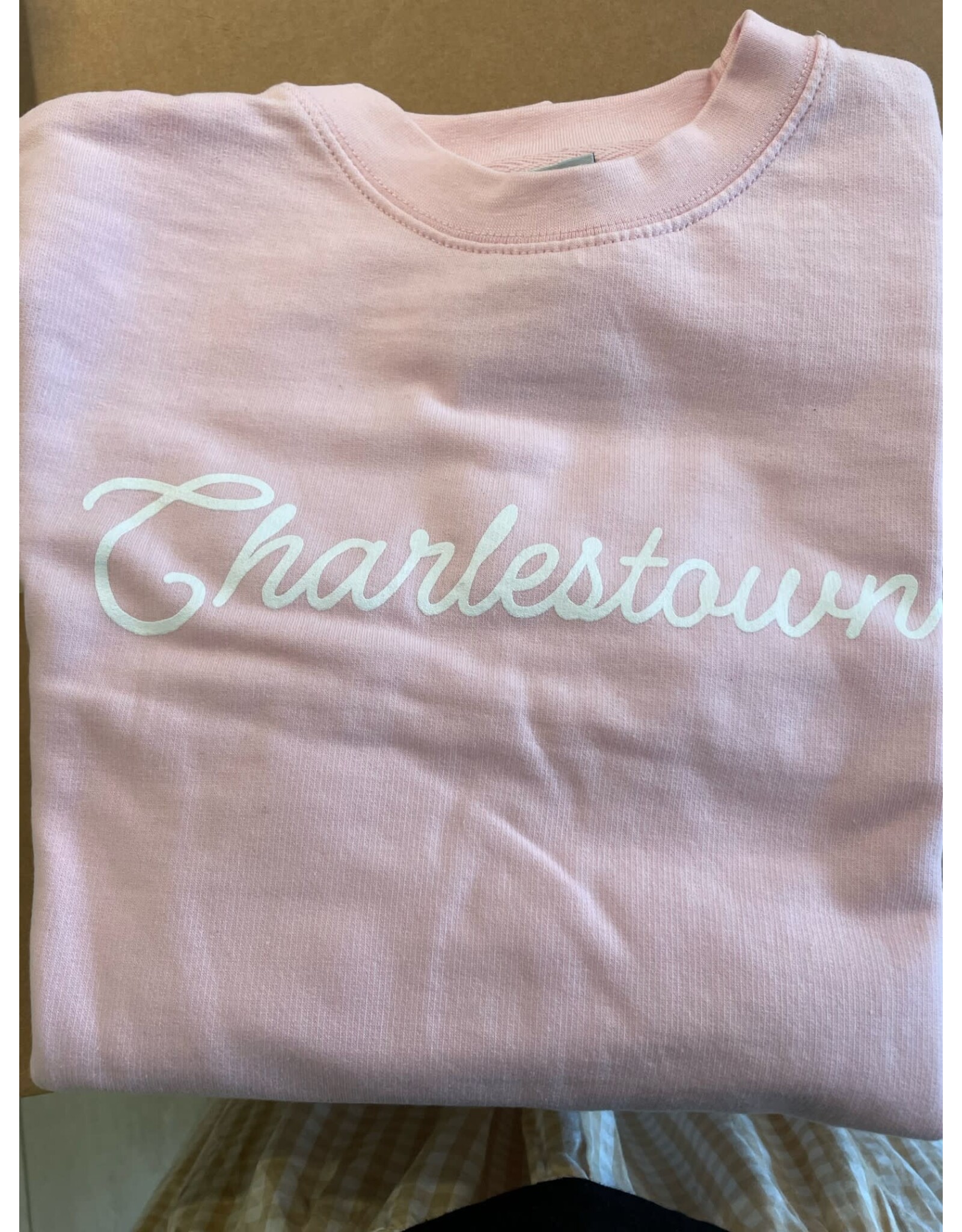 Hemlock Ink Charlestown Screenprinted Sweatshirt in Light Pink