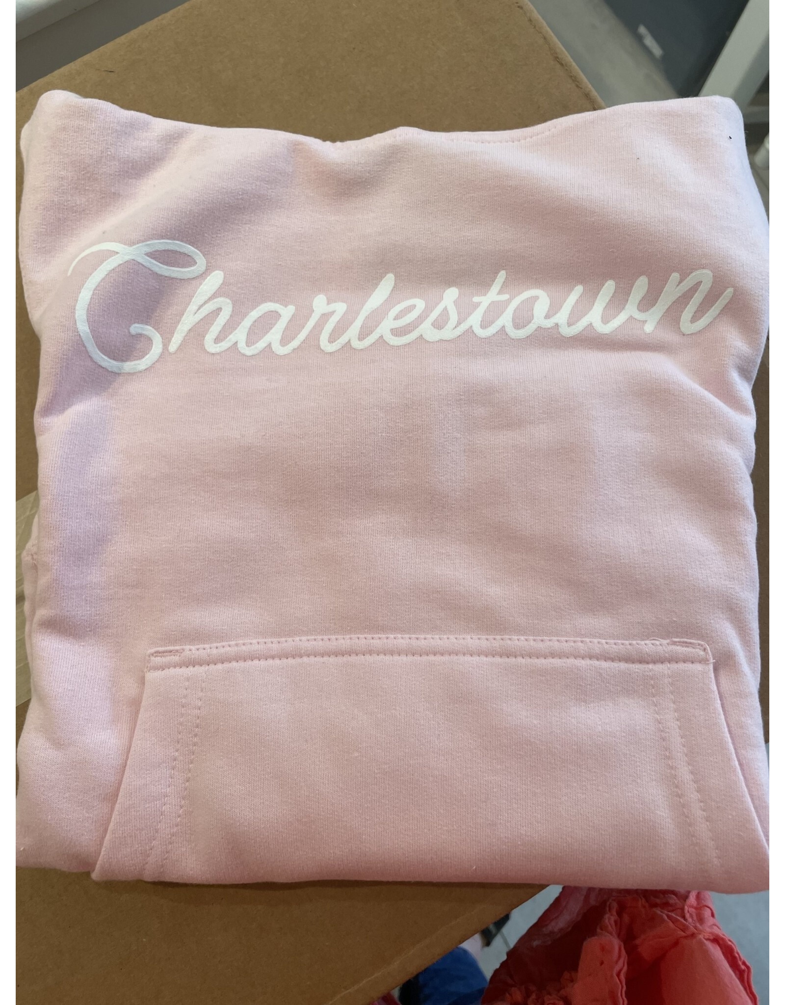 Hemlock Ink Kid's Charlestown Screenprinted Sweatshirt in Light Pink