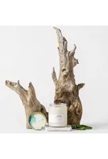Noted Sea Salt Sage Candle