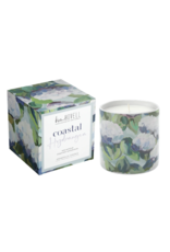 Coastal Hydrangea 8oz Candle by Kim Hovell