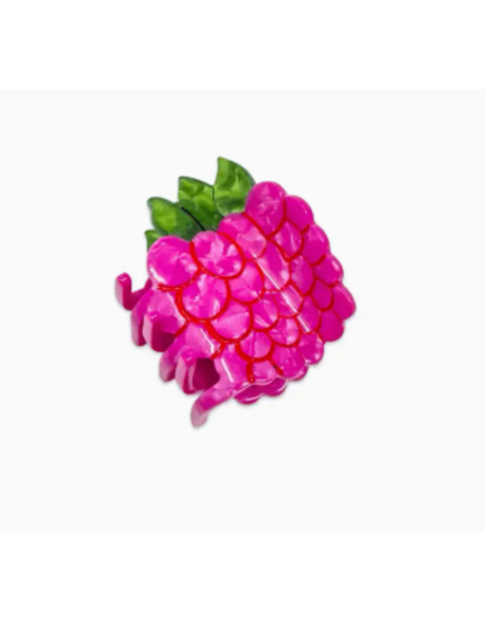Jenny Lemons Mini Raspberry Claw Clip