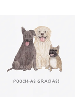 Amy Zhang Pooch-as Gracias Thank You Card Amy Zhang Pooch-as Gracias Thank You Card
