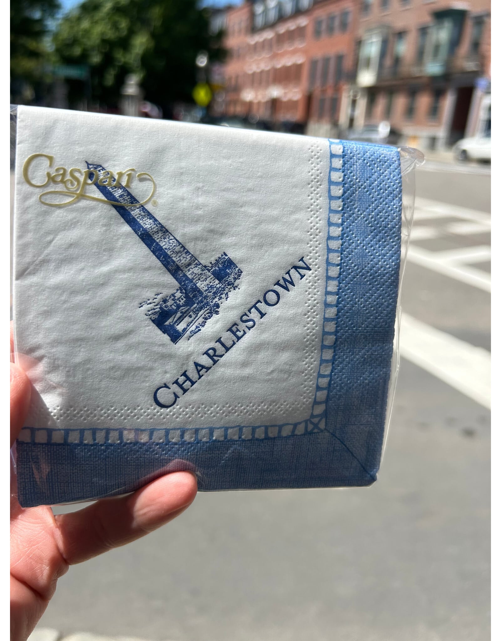 Caspari Blue Charlestown & Monument Cocktail Napkins