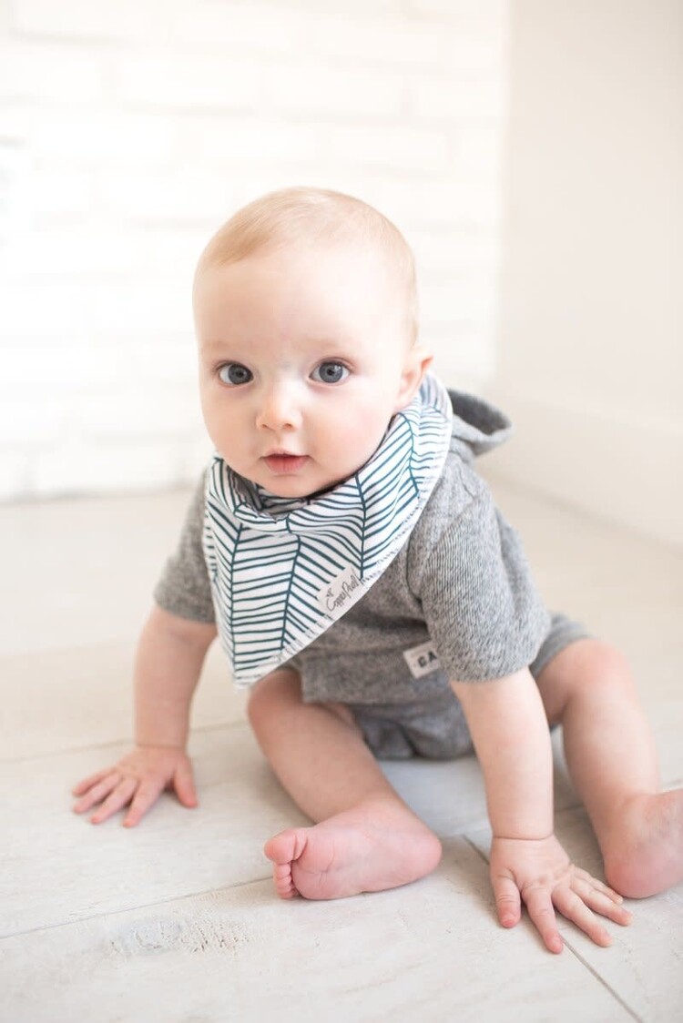 Copper Pearl Copper Pearl Bandana Bibs - Cruise