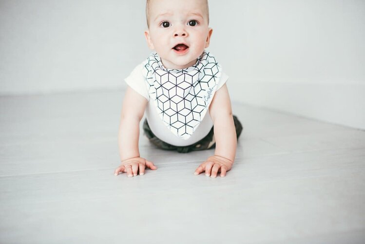 Copper Pearl Copper Pearl Bandana Bibs - Wild